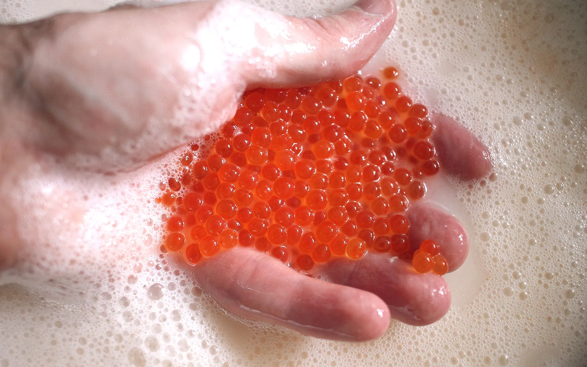 Handful of vivid red roe eggs in milky water.