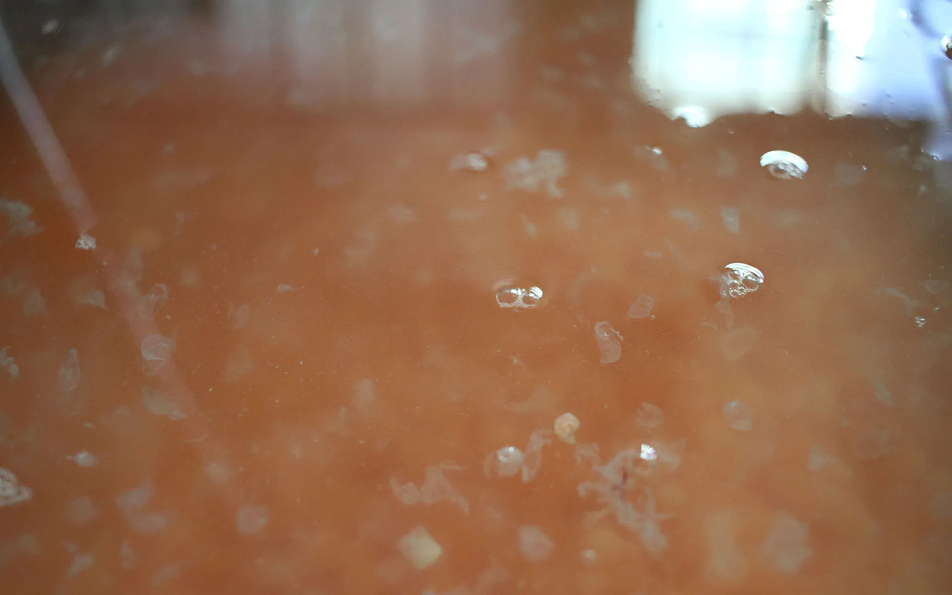 Roe and egg debris floating in water.