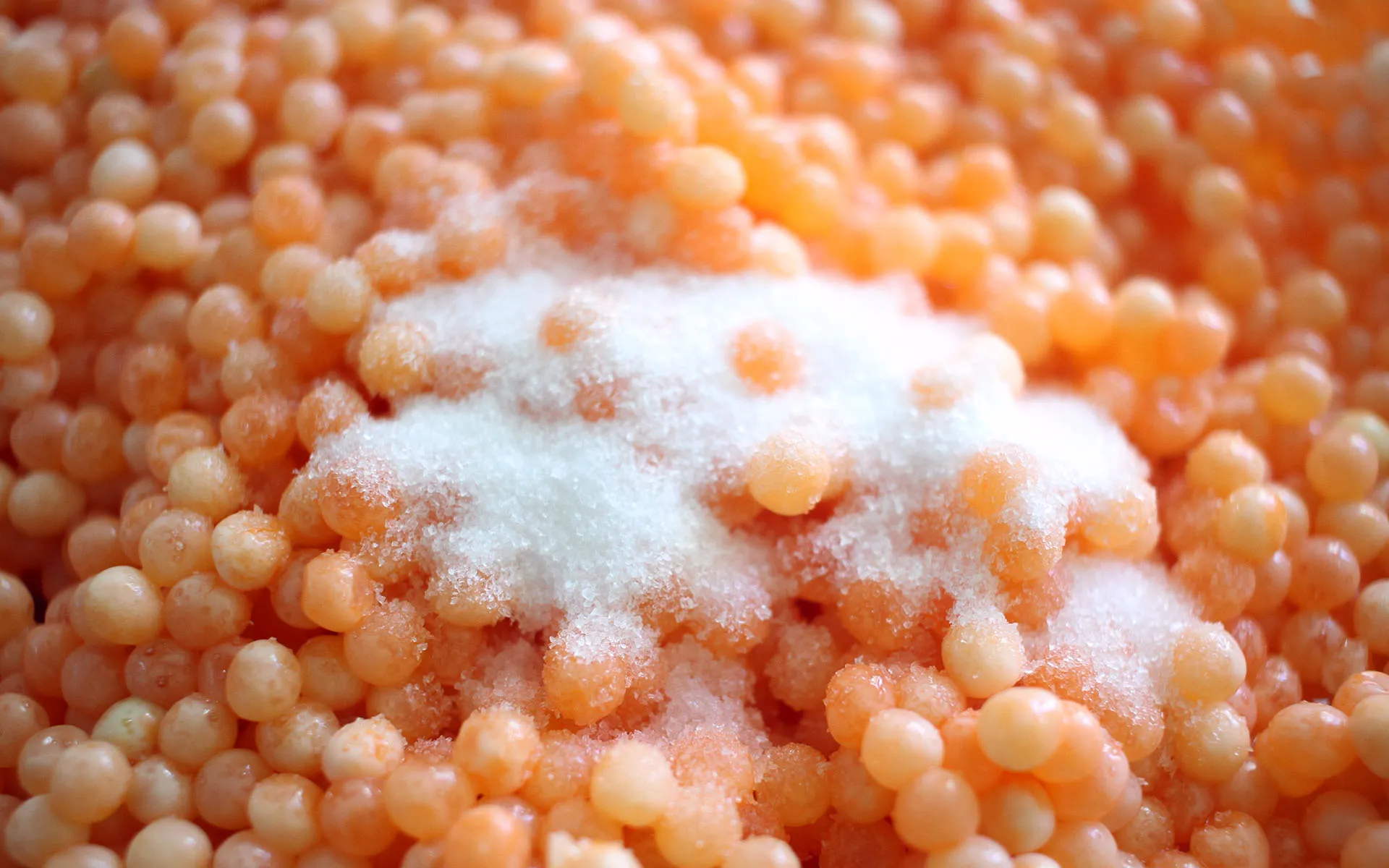 Closeup of a pile of salt on top of a bowl of salman roe.