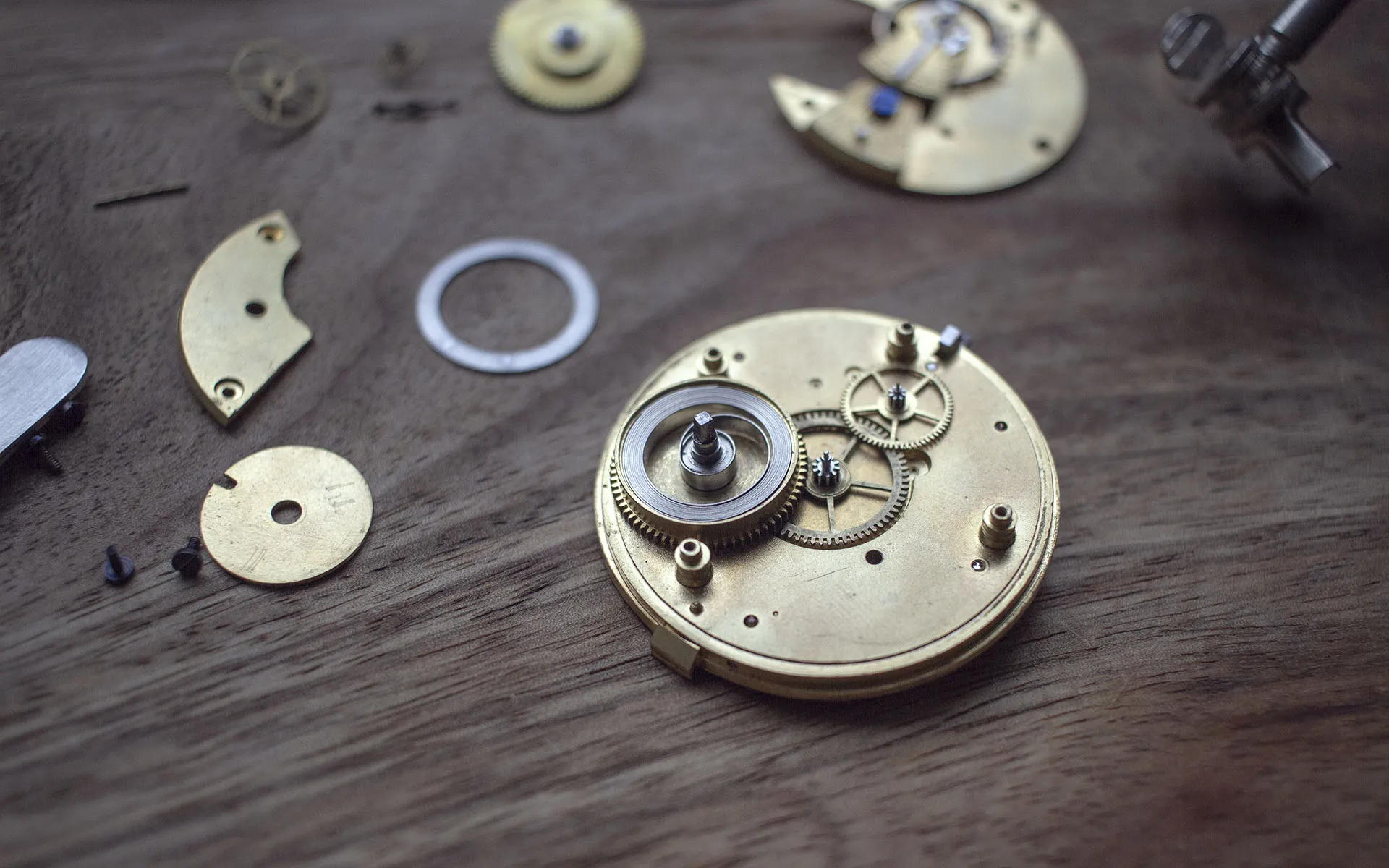 Closeup of the mainspring of a mechanical watch mechanism.
