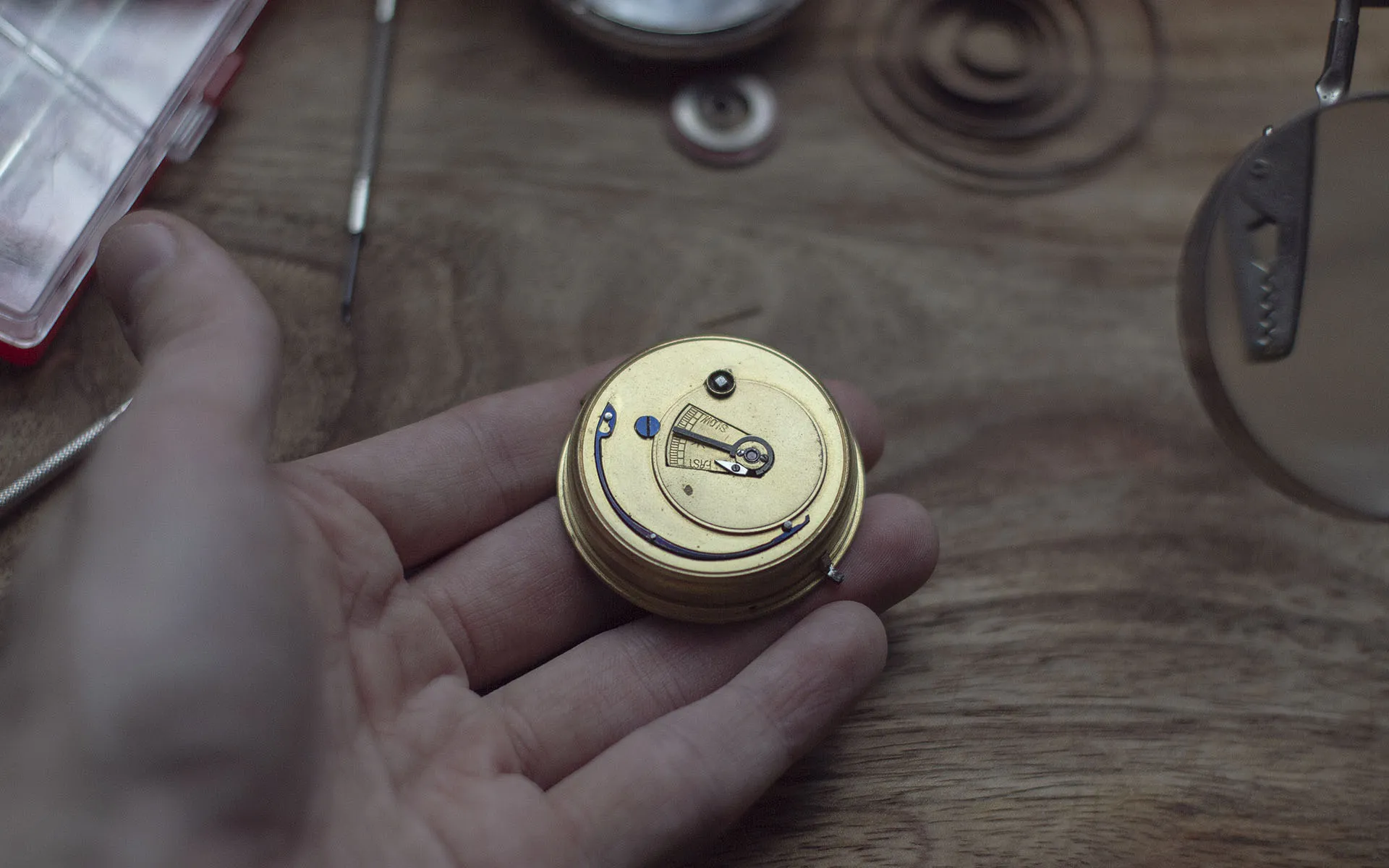 Mechanical watch mechanism in the palm of a hand.