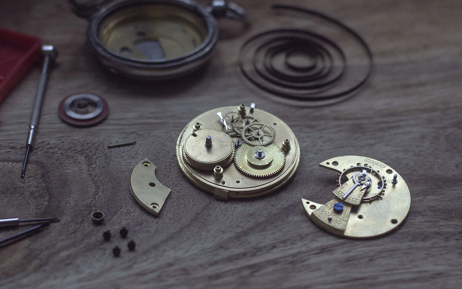 Mechanical watch gears in their place in the mechanism.